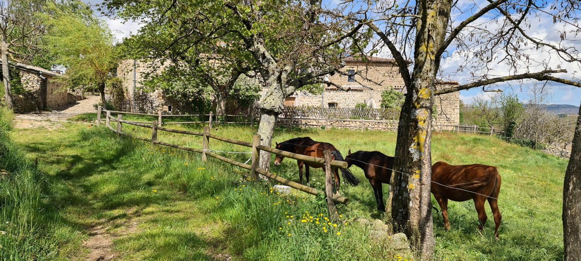 Gites Domaine De Silhac Ardeche Bagian luar foto